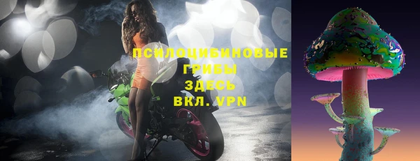 индика Кодинск