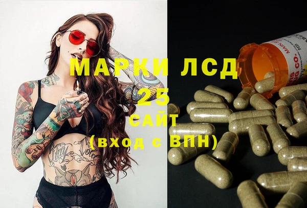 индика Кодинск