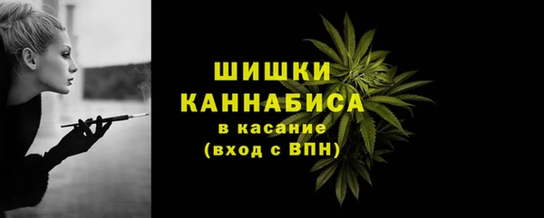 индика Кодинск