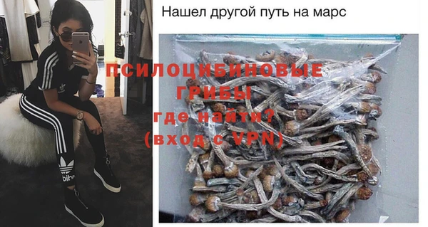 индика Кодинск