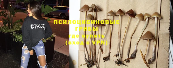 тгк Козловка