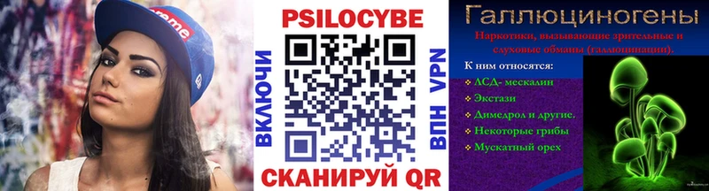 Галлюциногенные грибы Psilocybe  Купить  Рославль 
